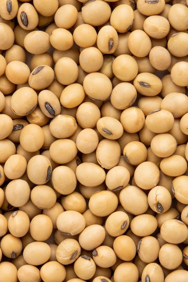 NatureFresh Soybeans NatureFresh Soybeans